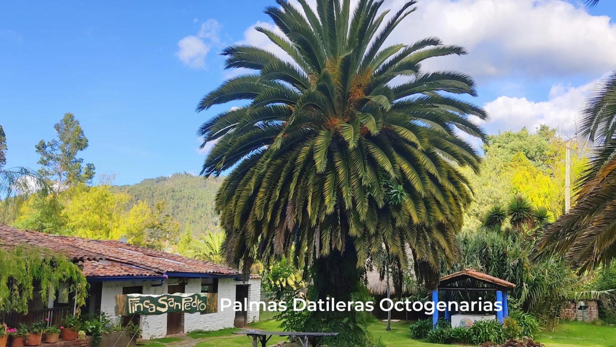 Finca San Pedro -Alojamiento Campestre Y Reserva Natural- Sogamoso Exterior foto